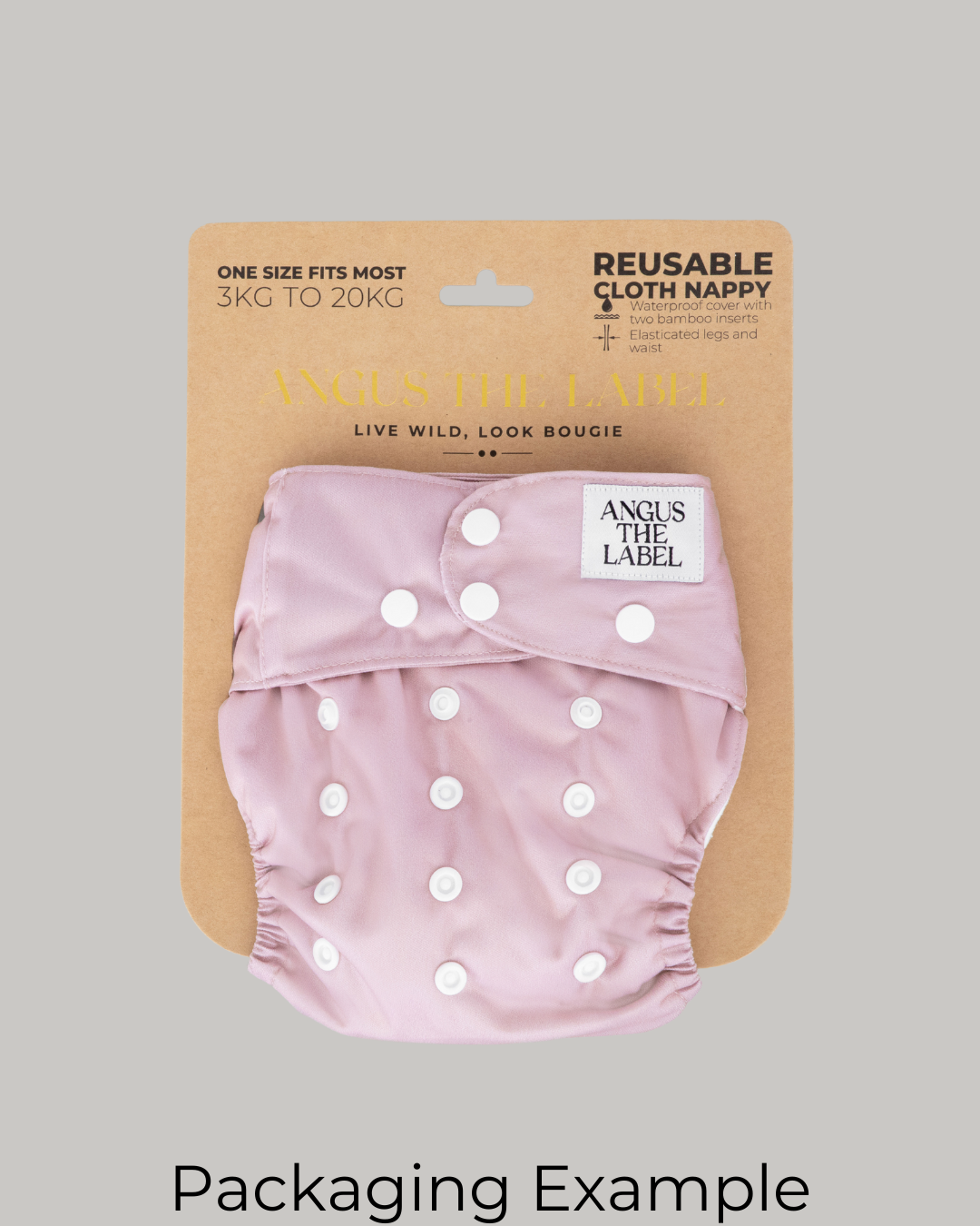 Wave Wanderer Swim Nappy